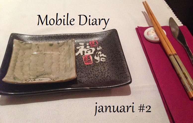 Mobile Diary: januari #2